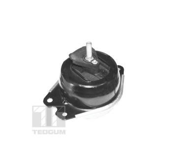 Zavěšení motoru TEDGUM TED40414