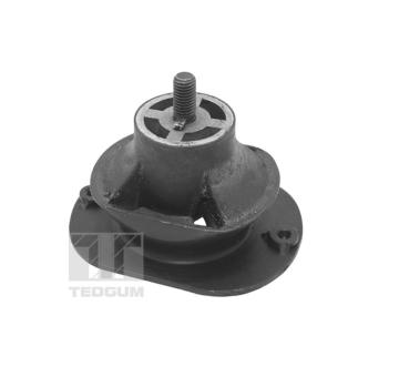 Ulożenie motora TEDGUM TED40521