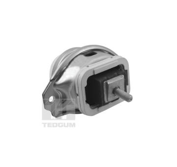 Zaveseni motoru TEDGUM TED44341