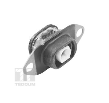 Zaveseni motoru TEDGUM TED46913