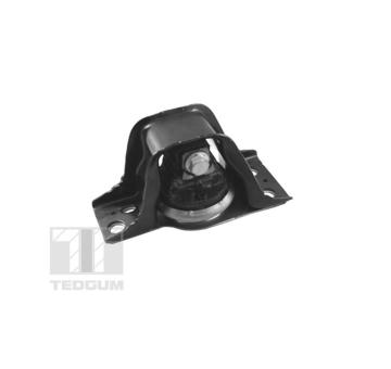 Zaveseni motoru TEDGUM TED94010