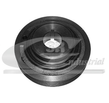remenice, klikovy hridel 3RG 10208