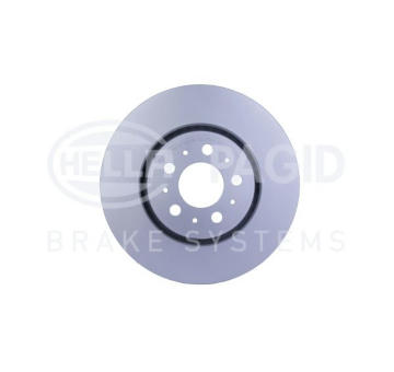 Brzdový kotouč HELLA PAGID 8DD 355 117-851