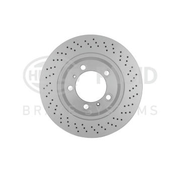 Brzdový kotouč HELLA PAGID 8DD 355 126-931