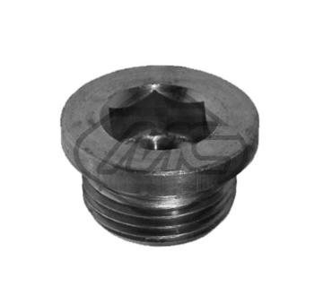 Uzatváracia skrutka, olejová vaňa Metalcaucho 00671