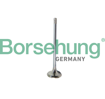 Výfukový ventil Borsehung B10321