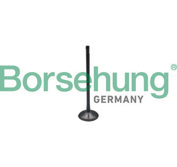 Sací ventil Borsehung B10323