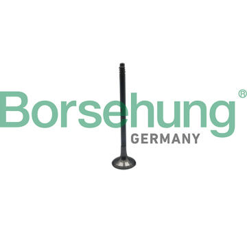 Výfukový ventil Borsehung B10324