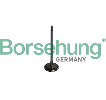 Sací ventil Borsehung B10325