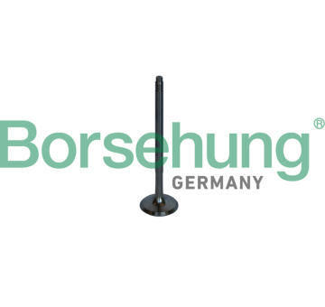 Výfukový ventil Borsehung B10326