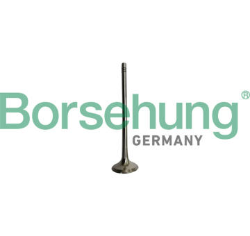 Výfukový ventil Borsehung B10335