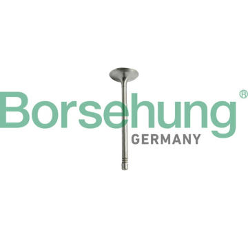 Sada pistnich krouzku Borsehung B10344