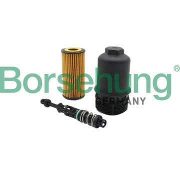 Olejový filter Borsehung B10435