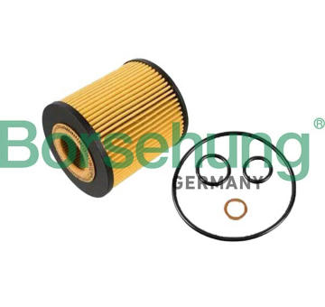 Olejový filter Borsehung B10440