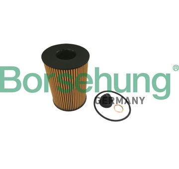 Olejový filtr Borsehung B10461