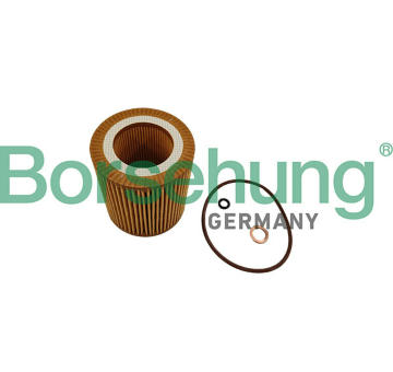 Olejový filter Borsehung B10462