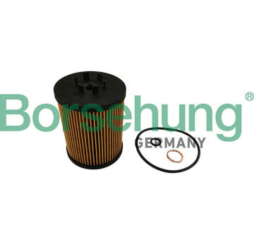 Olejový filter Borsehung B10464