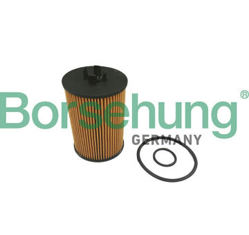 Olejový filter Borsehung B10468