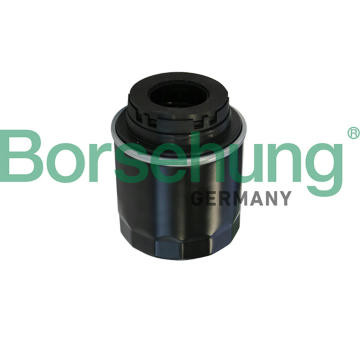 Olejový filtr Borsehung B10527