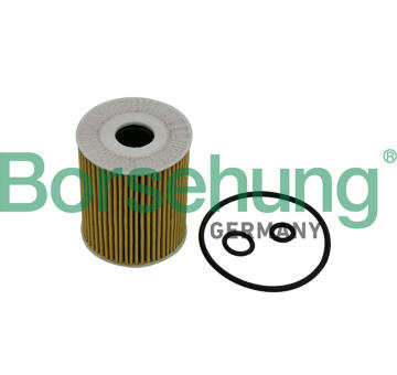Olejový filter Borsehung B10533