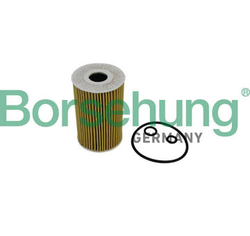 Olejový filter Borsehung B10535