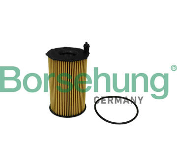 Olejový filter Borsehung B10540