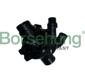 Termostat, chladivo Borsehung B10551