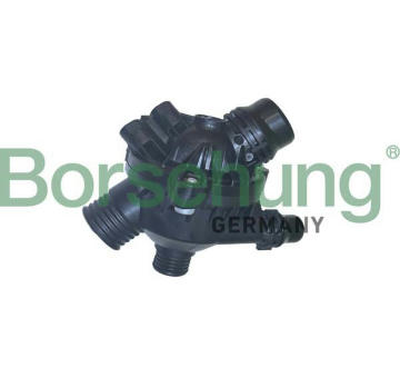 Termostat, chladivo Borsehung B10552