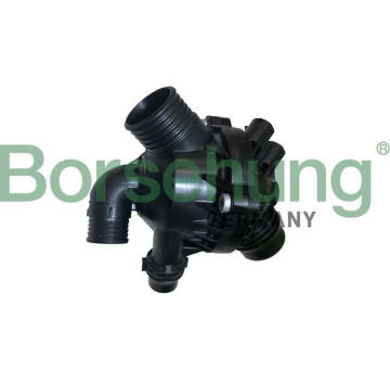 Termostat, chladivo Borsehung B10553