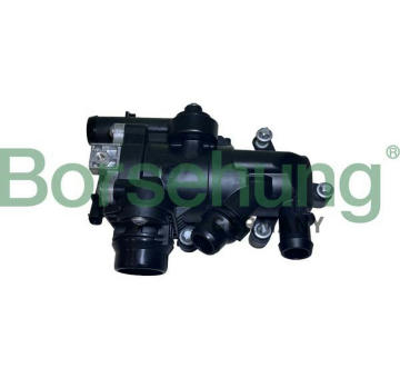 Termostat, chladivo Borsehung B10555