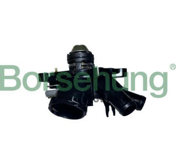 Termostat, chladivo Borsehung B10557