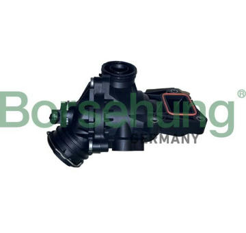 Termostat, chladivo Borsehung B10558