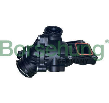 Termostat, chladivo Borsehung B10559