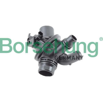 Termostat chladenia Borsehung B10561