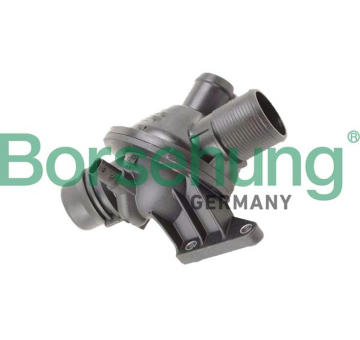 Termostat, chladivo Borsehung B10562