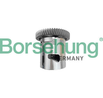 Olejové čerpadlo Borsehung B11905
