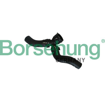 Vedení chladicí kapaliny Borsehung B11984