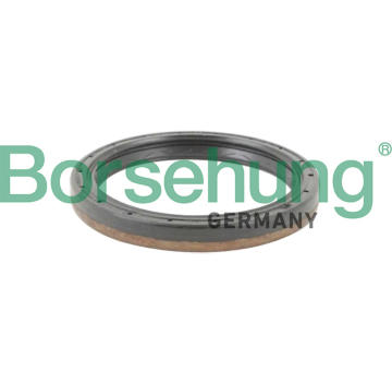 Tesnici krouzek hridele, diferencial Borsehung B12198
