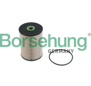 Palivový filtr Borsehung B12214