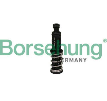 Olejový tlakový ventil Borsehung B12309