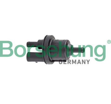 AKF-Ventil Borsehung B12317