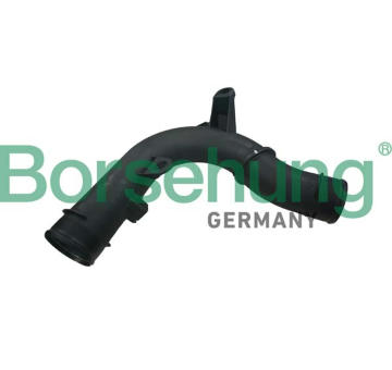 Hadička plnicího vzduchu Borsehung B12351