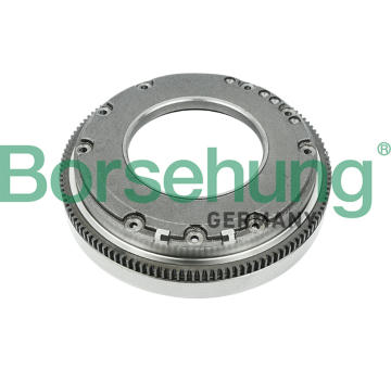 Setrvačník Borsehung B12721