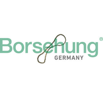 Rozvodový řetez Borsehung B12769
