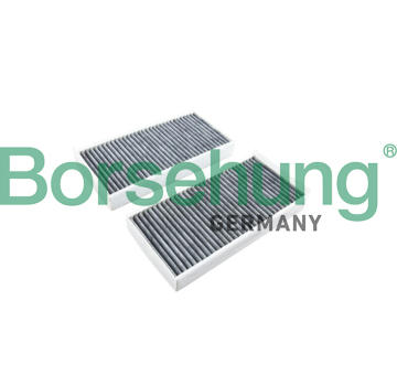 Filtr, vzduch v interiéru Borsehung B12859
