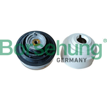 Zavěšení motoru Borsehung B12983