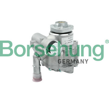 Hydraulické čerpadlo, řízení Borsehung B13212