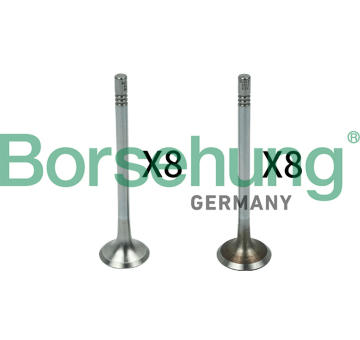 Sací ventil Borsehung B18142