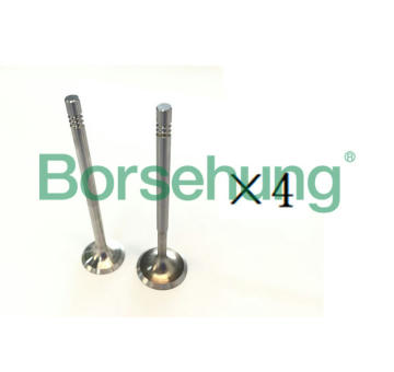 Sací ventil Borsehung B18193