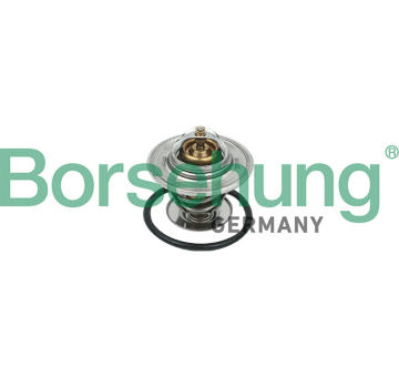 Termostat, chladivo Borsehung B18244